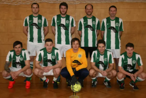 MSV Hallenturnier 2017, Strasswalchen 10