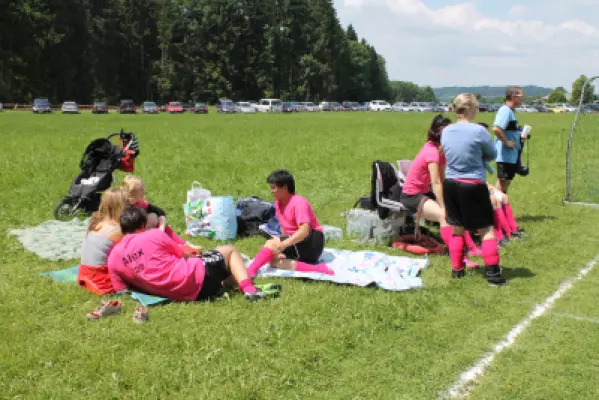 MSV Freiluftturnier 2014, Waldstadion Voglhub 18