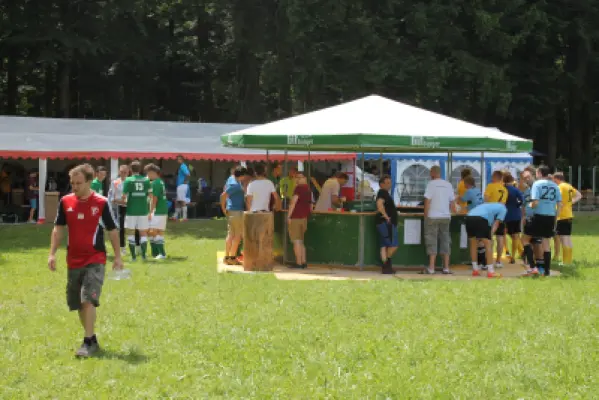 MSV Freiluftturnier 2014, Waldstadion Voglhub 20
