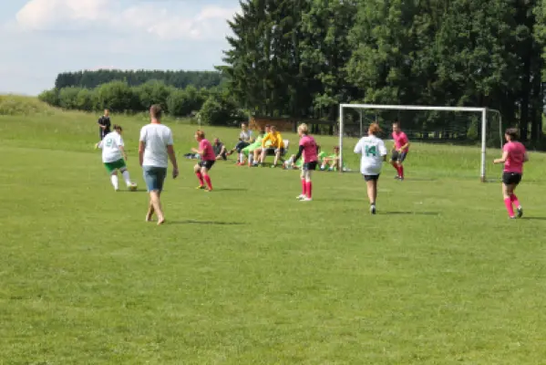 MSV Freiluftturnier 2014, Waldstadion Voglhub 32