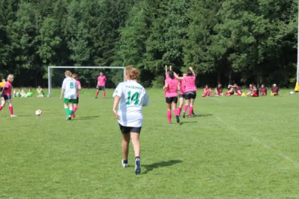 MSV Freiluftturnier 2014, Waldstadion Voglhub 33