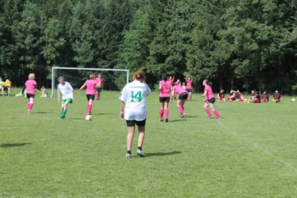 MSV Freiluftturnier 2014, Waldstadion Voglhub 34