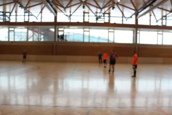 MSV Hallenturnier 2018, Strasswalchen 49