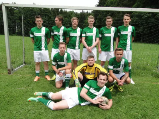 MSV Freiluftturnier 2015, Waldstadion Voglhub 3
