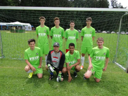 MSV Freiluftturnier 2015, Waldstadion Voglhub 4