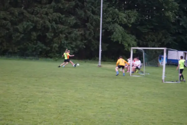 MSV Freiluftturnier 2019, Waldstadion Voglhub 45