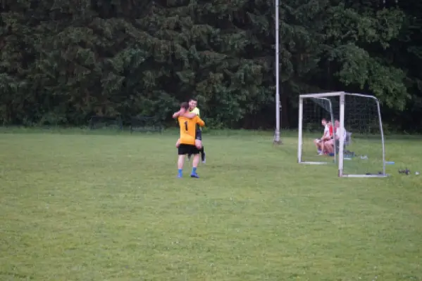MSV Freiluftturnier 2019, Waldstadion Voglhub 47