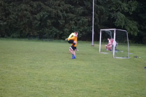 MSV Freiluftturnier 2019, Waldstadion Voglhub 48