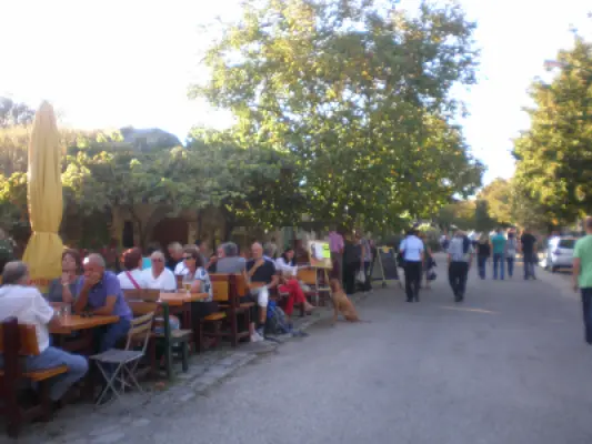 Ausflug 2011, Burgenland 8
