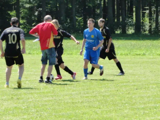MSV Freiluftturnier 2012, Waldstadion Voglhub 14