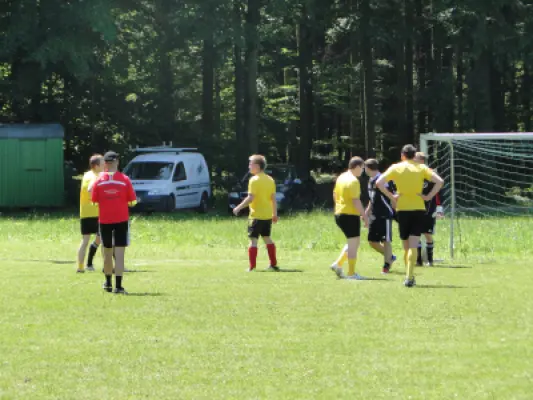 MSV Freiluftturnier 2012, Waldstadion Voglhub 21