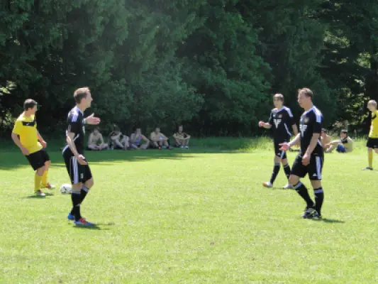 MSV Freiluftturnier 2012, Waldstadion Voglhub 24