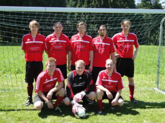 MSV Freiluftturnier 2012, Waldstadion Voglhub 25