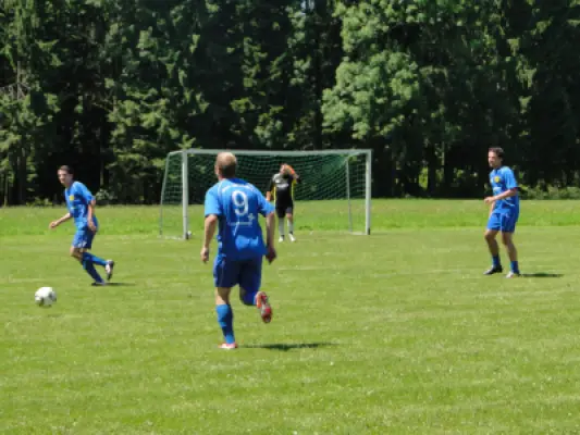 MSV Freiluftturnier 2012, Waldstadion Voglhub 28