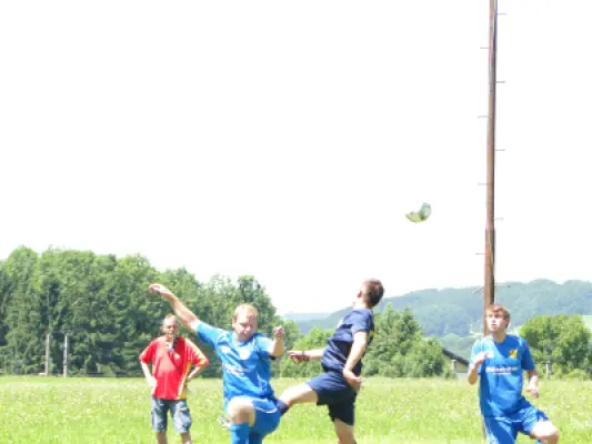 MSV Freiluftturnier 2012, Waldstadion Voglhub 29