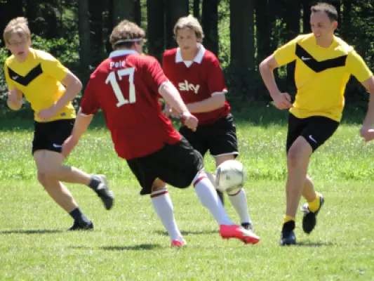 MSV Freiluftturnier 2012, Waldstadion Voglhub 31