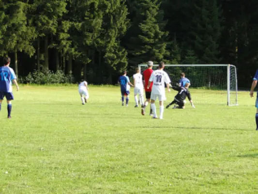 MSV Freiluftturnier 2011, Waldstadion Voglhub 3