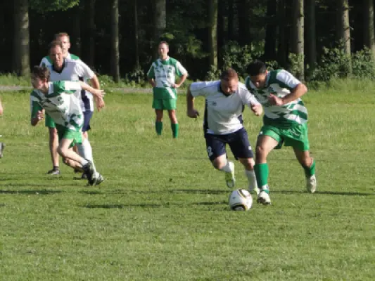 MSV Freiluftturnier 2010, Waldstadion Voglhub